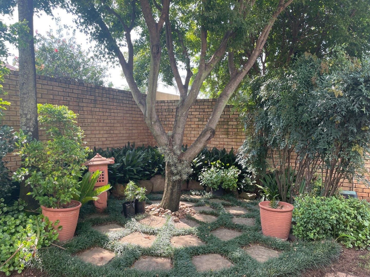 732368_6.jpg