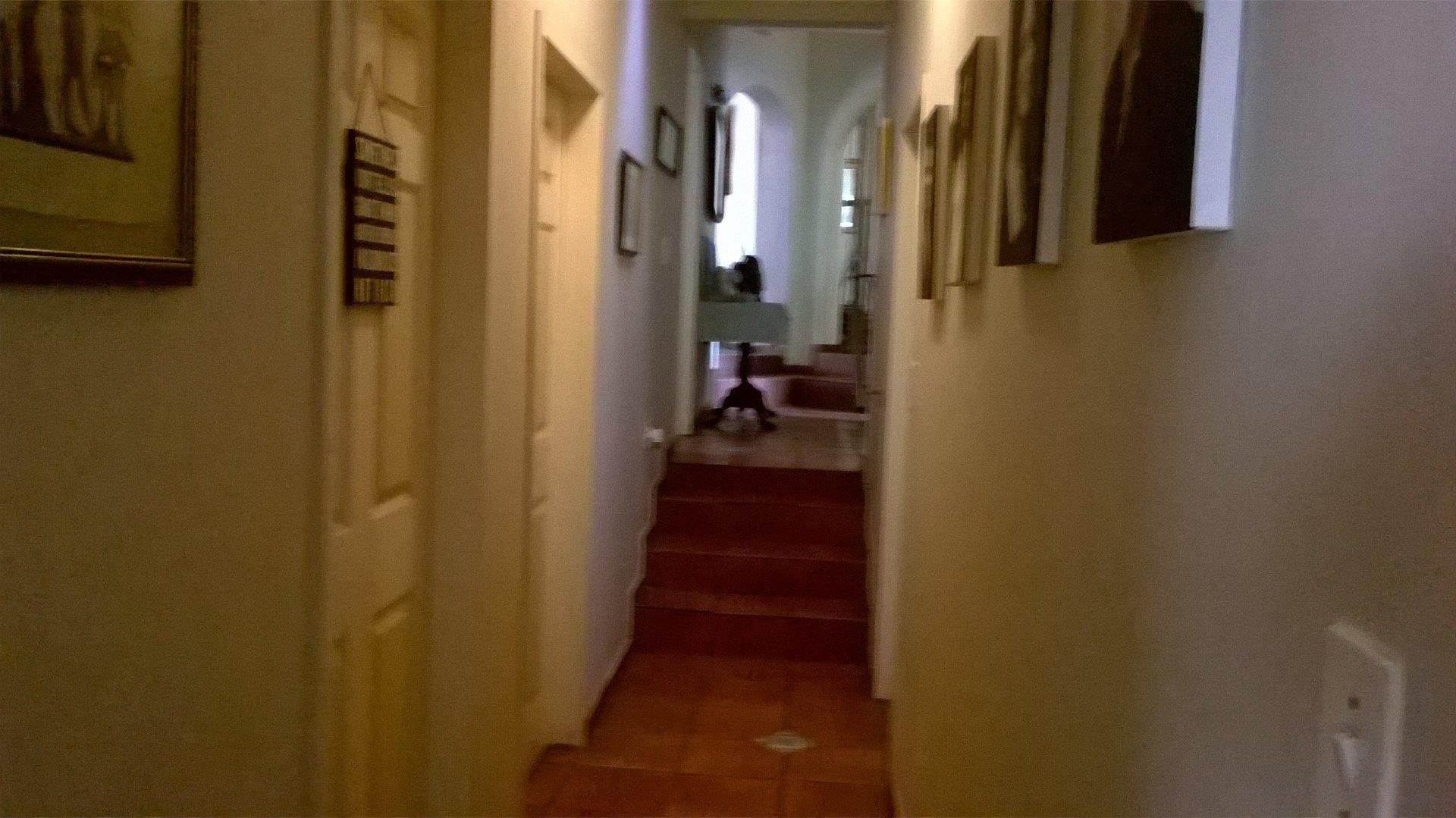 769327_11.jpg
